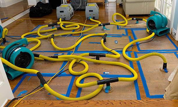 Professional Crawl Space Water Removal technician working in Lincoln, TX